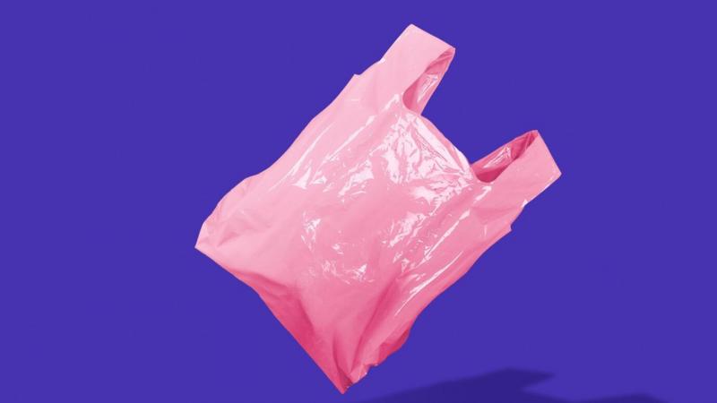 Sacolas plásticas e suas implicações ambientais e práticas na rotina